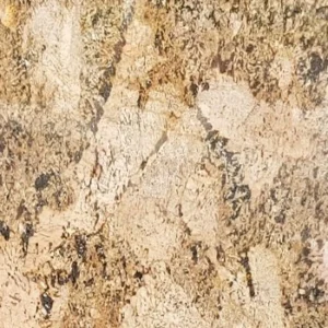 Alaska Gold Granite